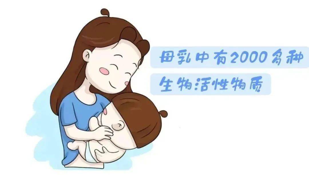 广西“各族青少年交流计划·桂在行动”主题活动走进六陈镇