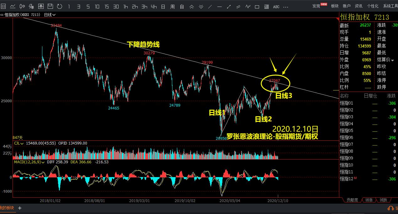 2024年度全国三八红旗手谢冰梅：“回游青年”反哺桑梓 挑起乡村振兴担子