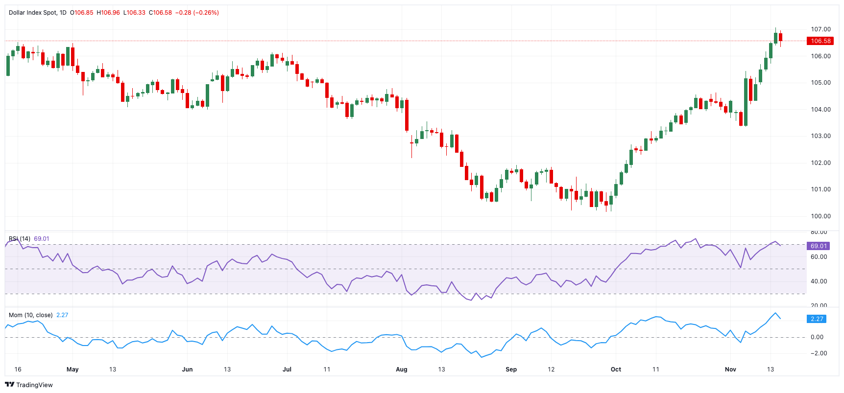 岭师健儿闪耀省大运会赛场