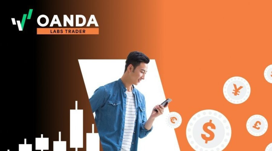 湾韵丨回乡之路(外一章)