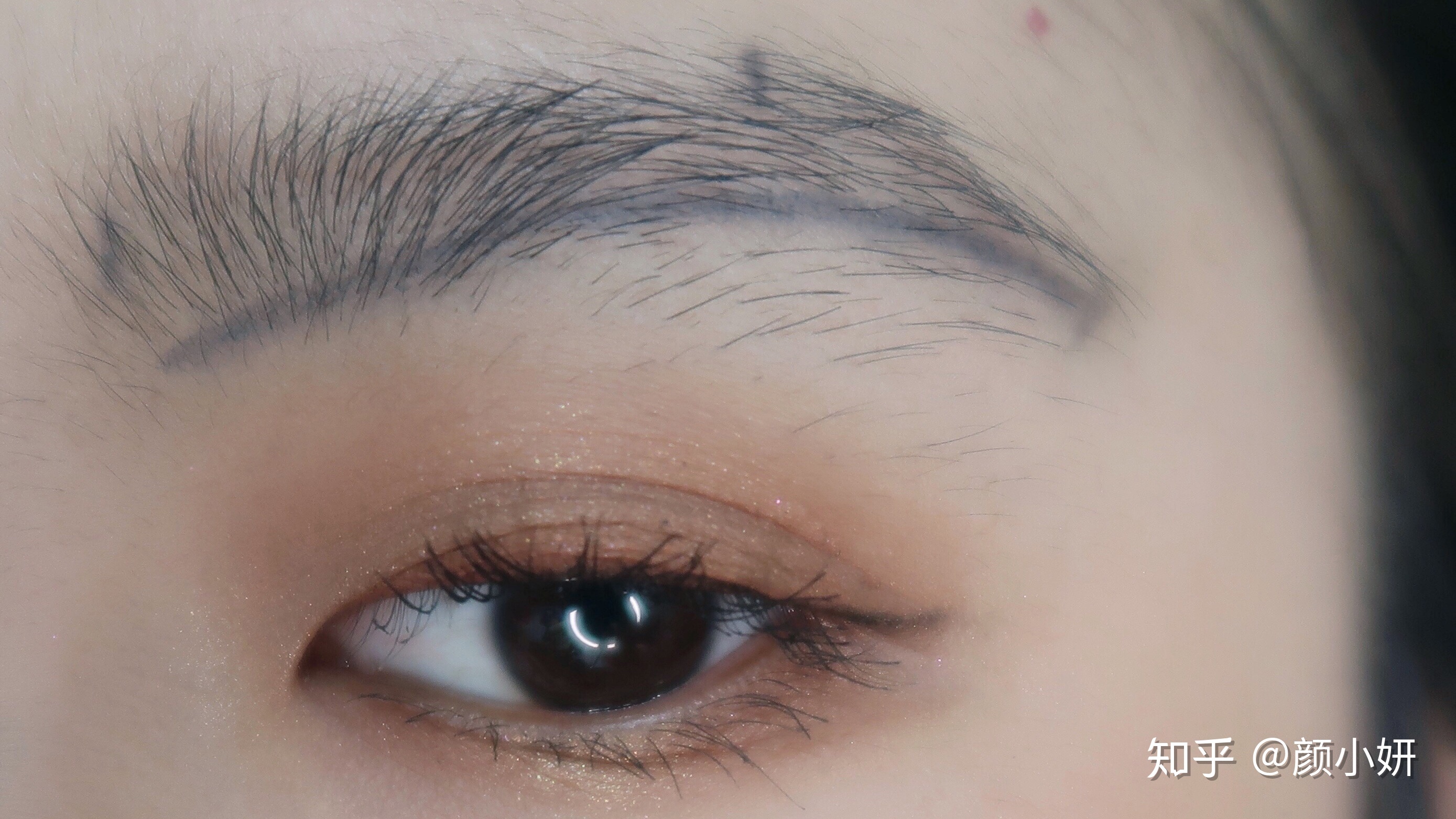 第十一批国家组织药品集采报量启动