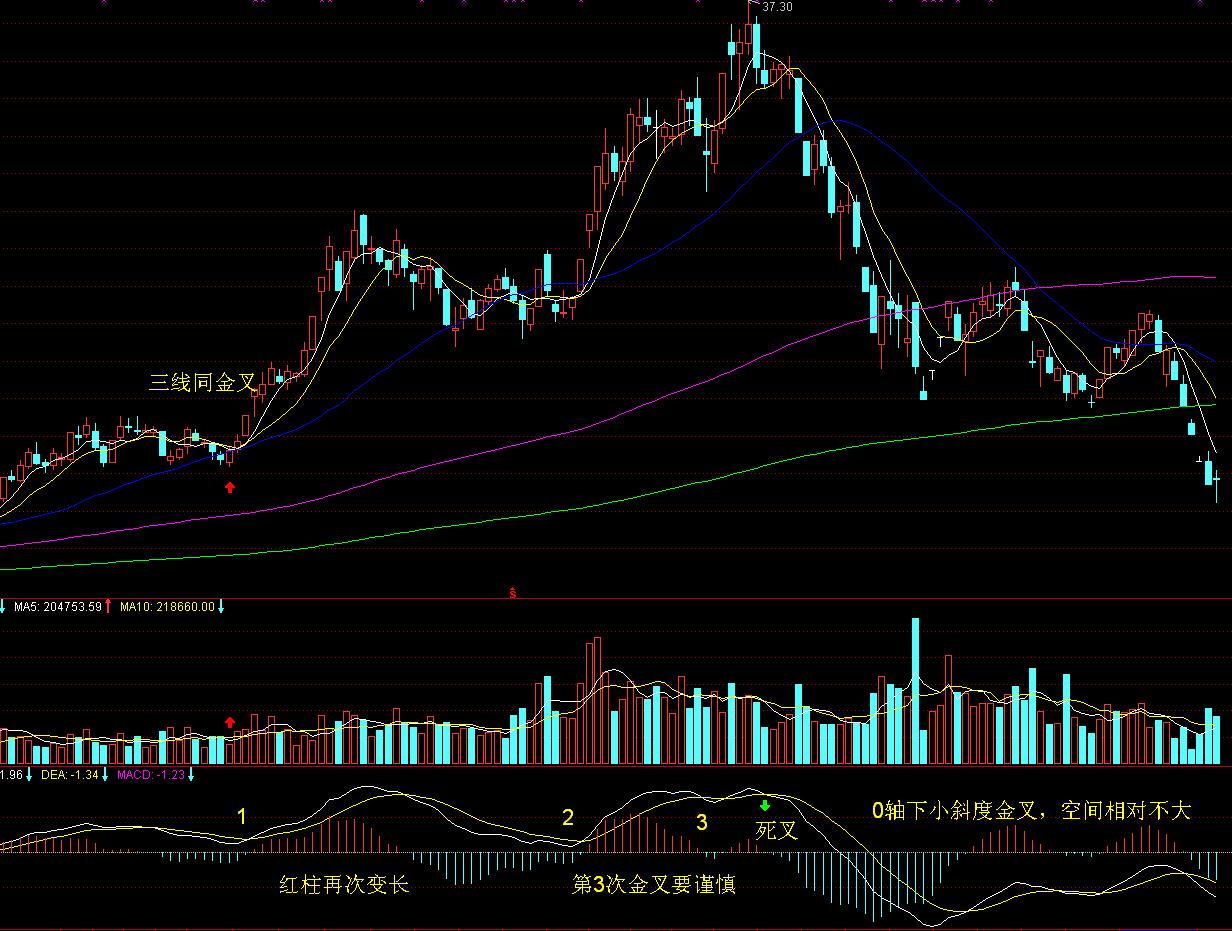 清水河滨河公园创新构建植物“全链条防护网”