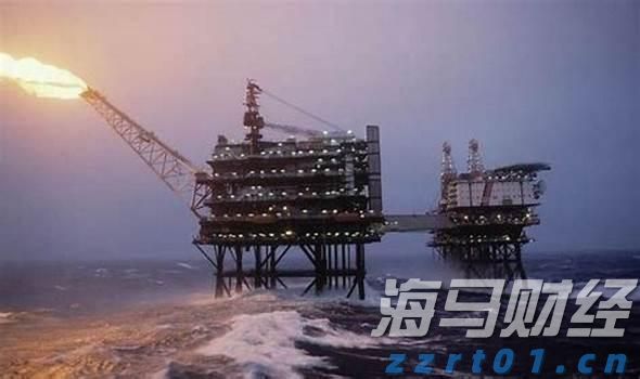 商务部:初步认定原产于欧盟的进口相关猪肉及猪副产品存在倾销